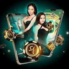 chatki Live Casino